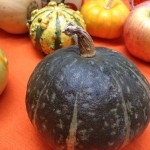 Winter Squash Recipes