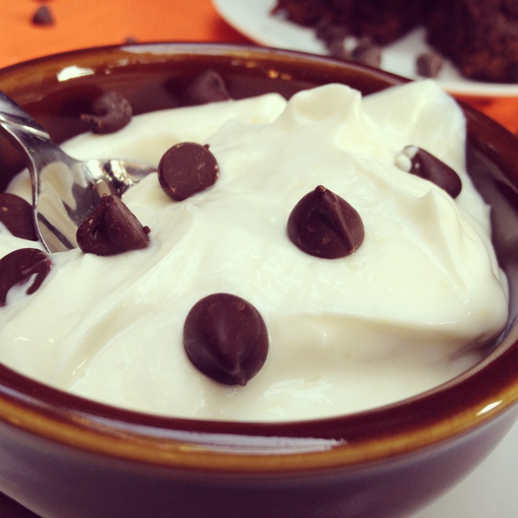 Double Protein Yogurt with Chocolate Chips