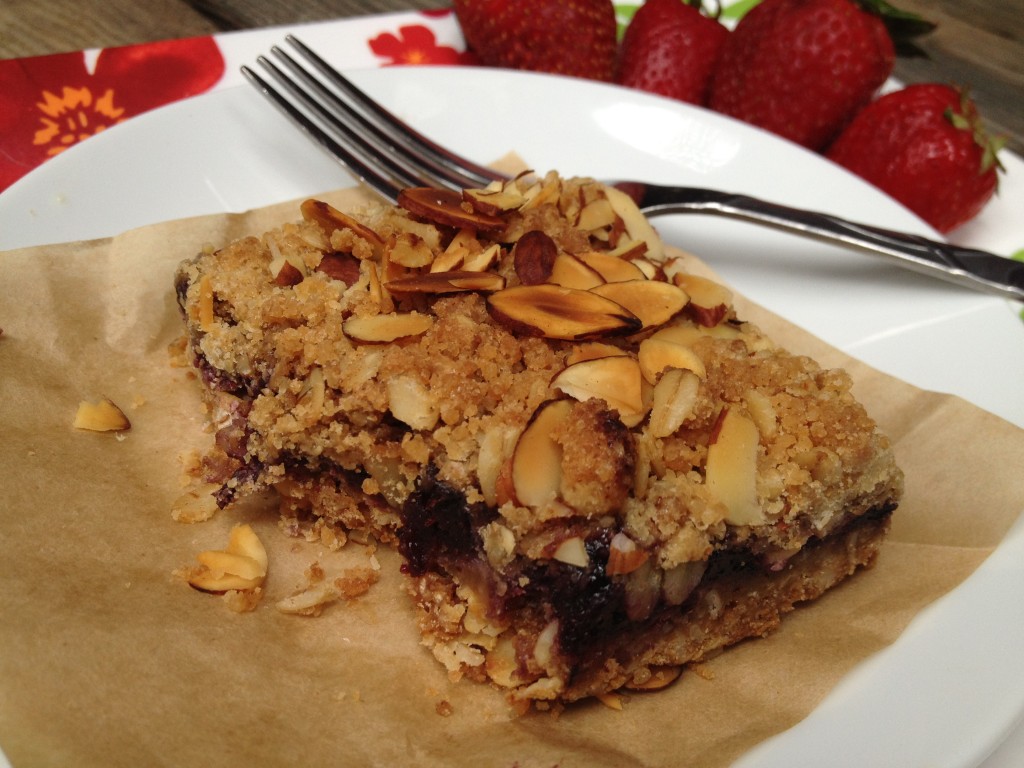 Blueberry Oatmeal Almond Squares