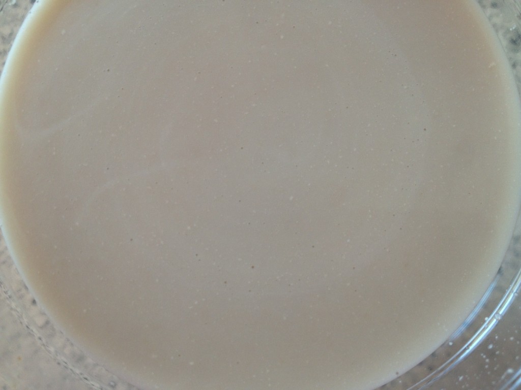 Double Vanilla Homemade Almond Milk