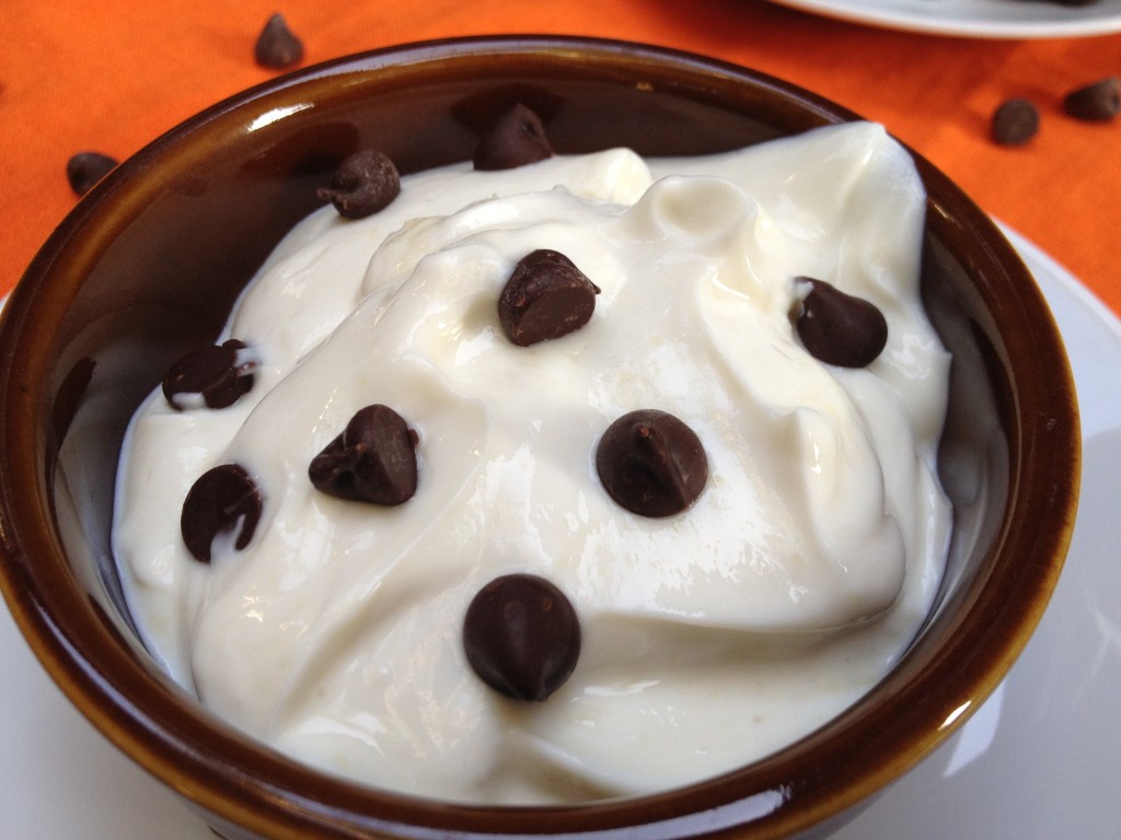 Double Protein Yogurt with Chocolate Chips