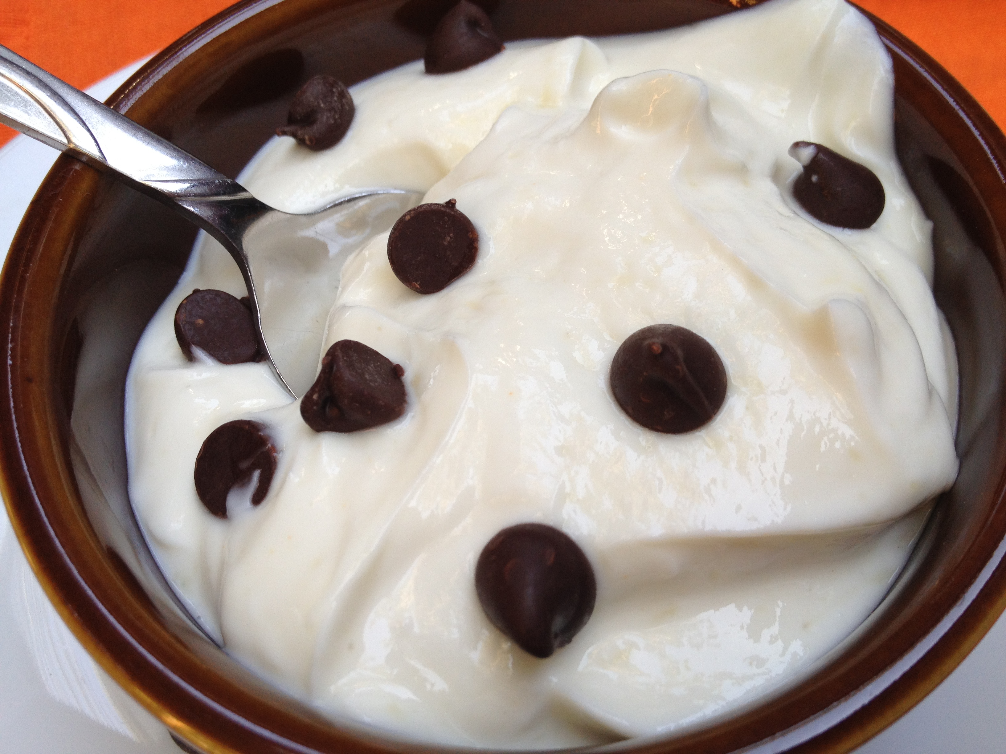 Double Protein Yogurt with Chocolate Chips